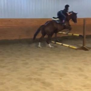 Meet your Posher, Makayla